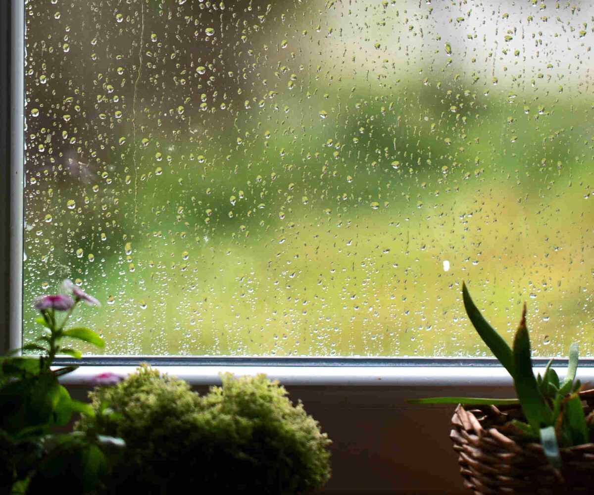 Rain collecting on a window as seen from the inside looking out.